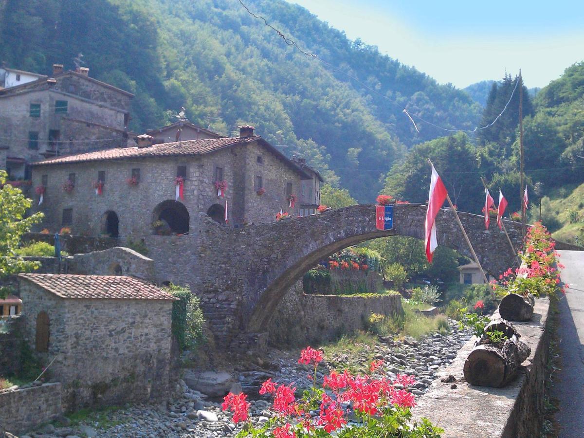 Belvilla By Oyo Olivi Verde San Quirico (Pescia) Exterior foto